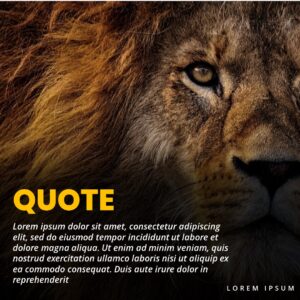 Quote-5.jpg
